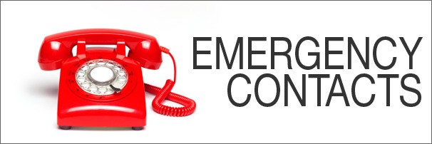 Emergency Contact